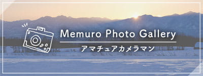 フォトギャラリー